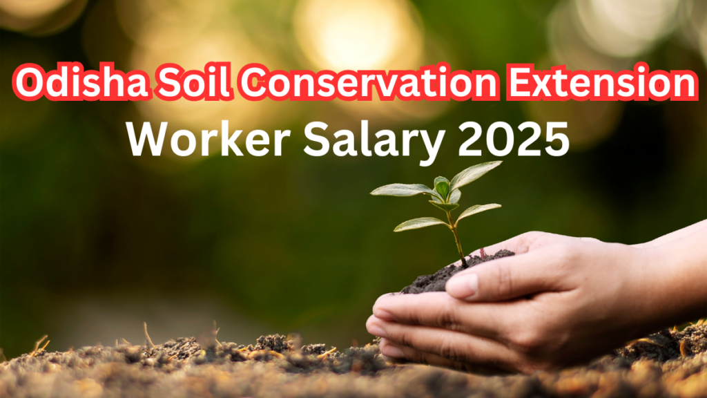 Odisha SSC Soil Conservation Extension Worker Salary and Benefits 2025