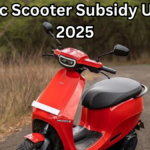 Electric Scooter Subsidy Update